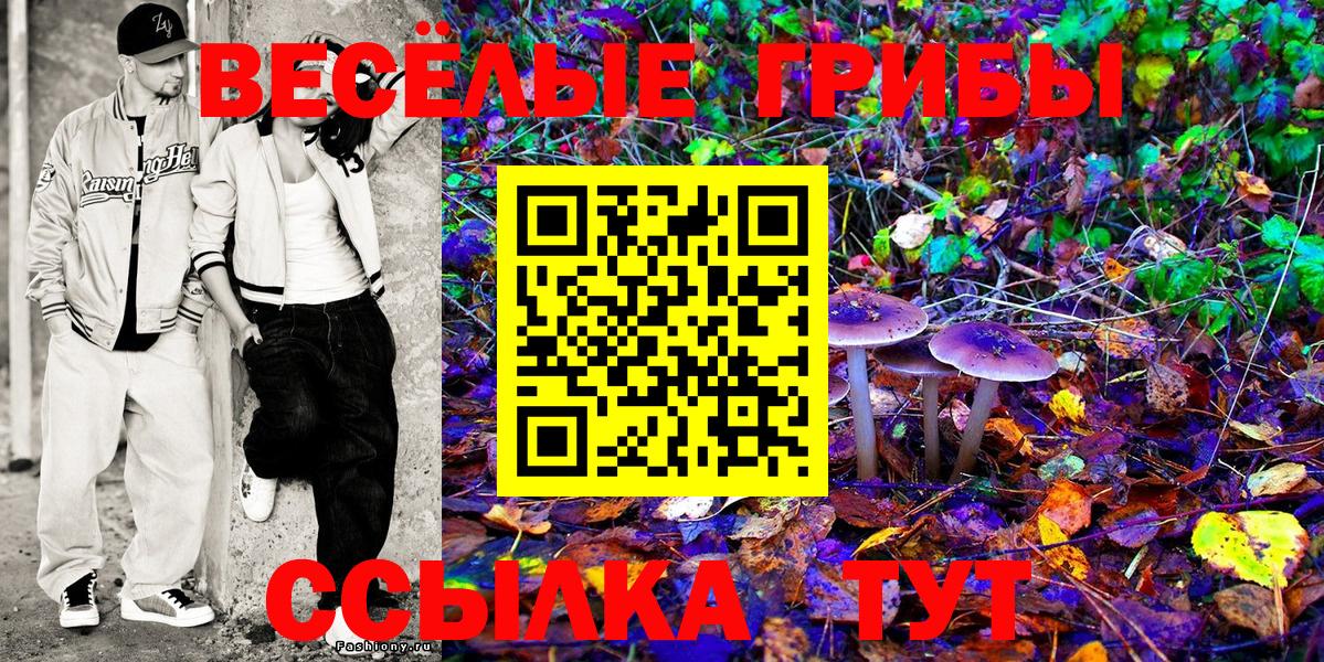 наркошоп  Псилоцибиновые грибы Psilocybe  Вход с VPN  Псилоцибиновые грибы мицелий  Чайковский 