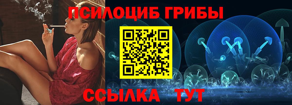 Галлюциногенные грибы Psilocybe Чайковский